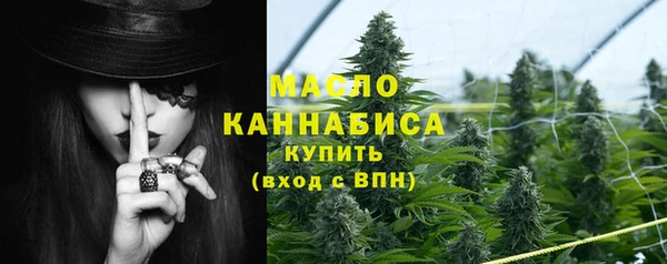 spice Вяземский