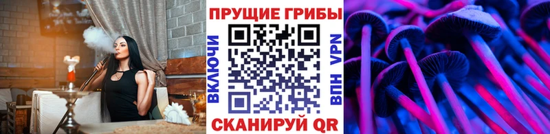 Псилоцибиновые грибы мухоморы Цоци-Юрт