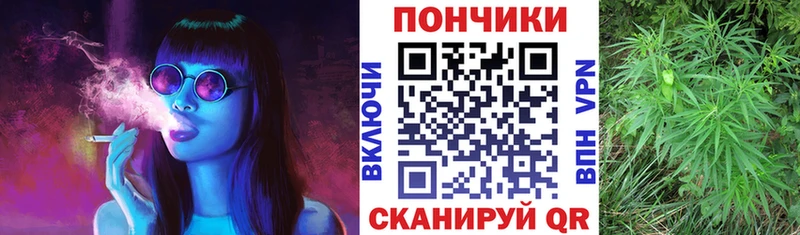 МАРИХУАНА конопля  Цоци-Юрт 